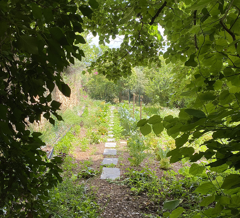 jardinsecret-jardin3