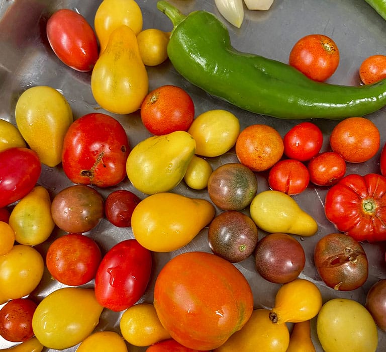 legumes-du-soleil