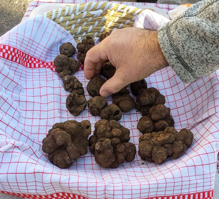 truffe