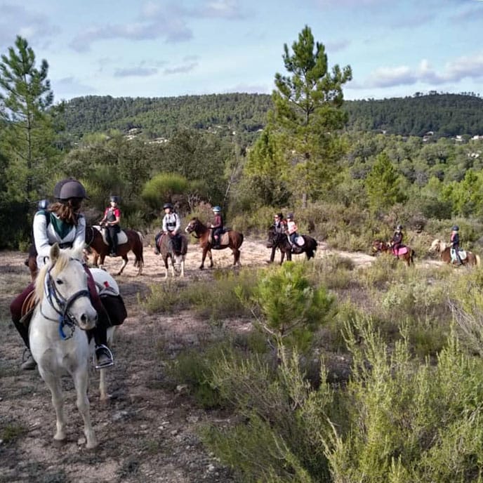 Équitation / Horseback riding