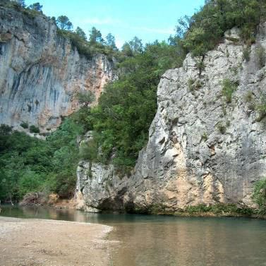 Correns