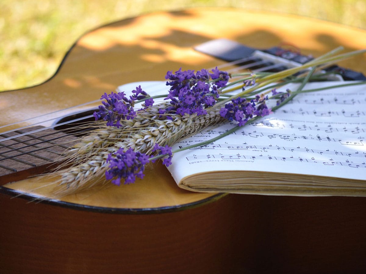 Les festivals de musique qui font vibrer l’arrière-pays varois tout l'été