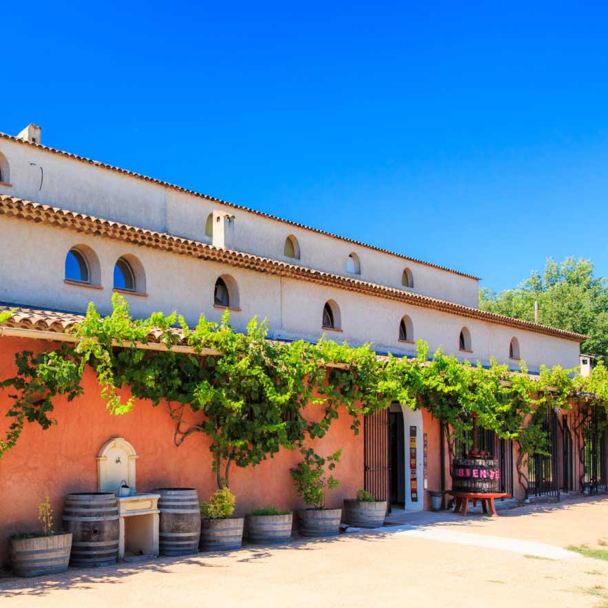 Dégustation au Château Carpe Diem à Cotignac