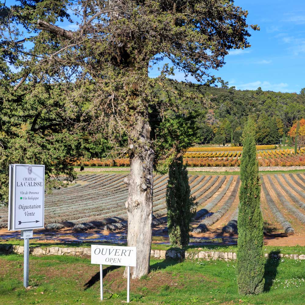 Dégustation au Château La Calisse à Ponteves