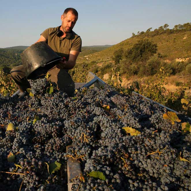 Dégustation au Domaine Aspras à Correns ​