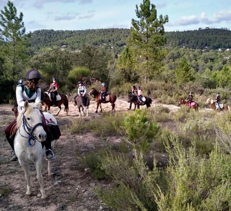 evenements-professionnels-lou-calen-activite-cheval