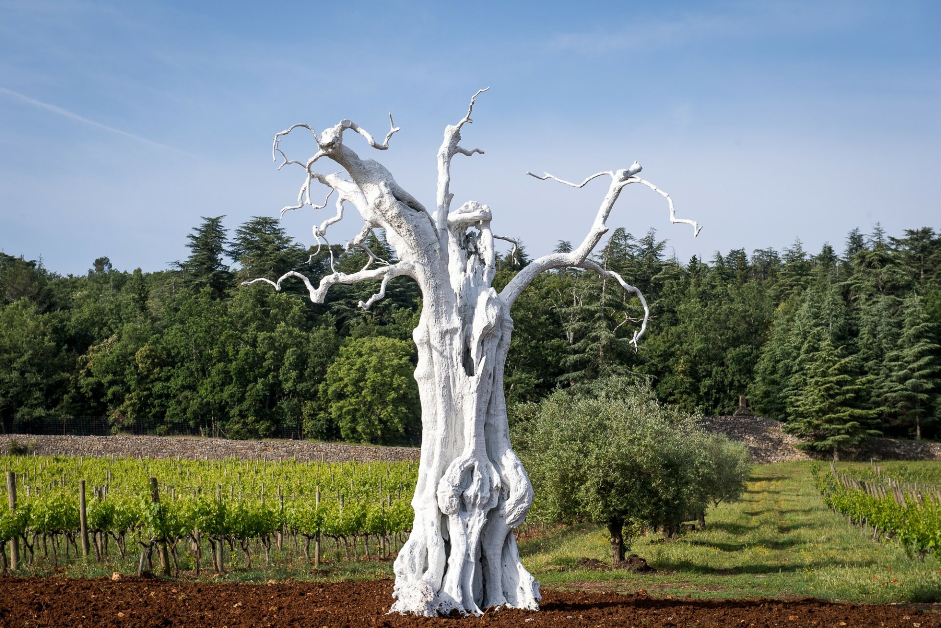 Ugo Rondinone, Flower moon, 2011 - Commanderie de Peyrassol. © Photo : Christophe Goussard