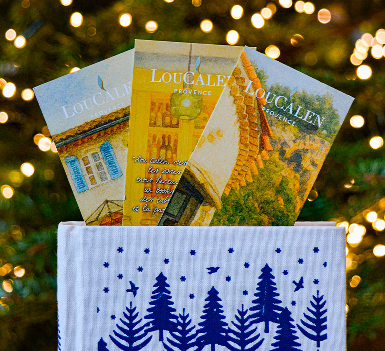 librairie-lou-calen-noel-2025-1