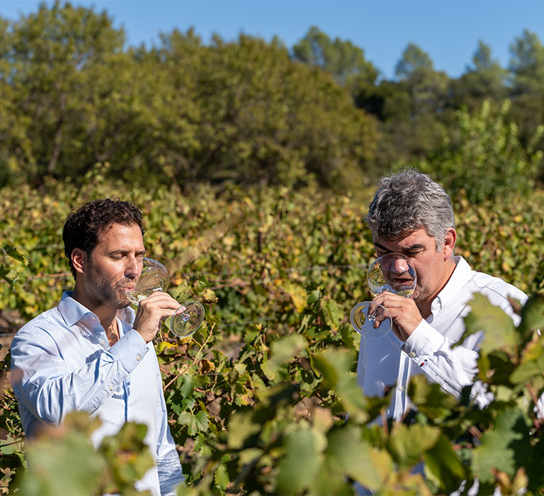 Domaine Le Clos de Caille à Entrecasteaux