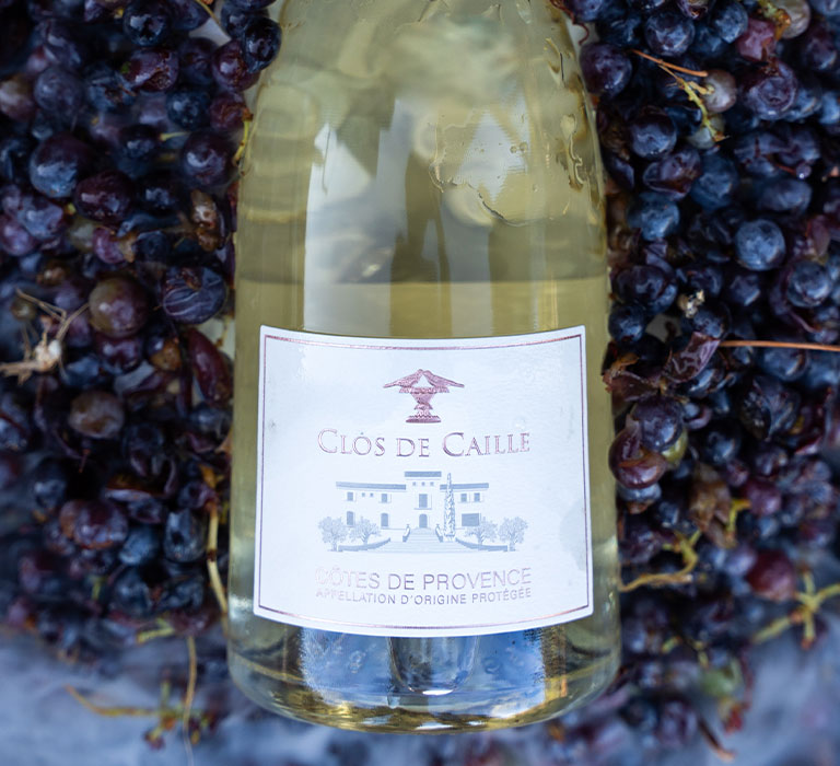 Vin blanc du Domaine Le Clos de Caille à Entrecasteaux