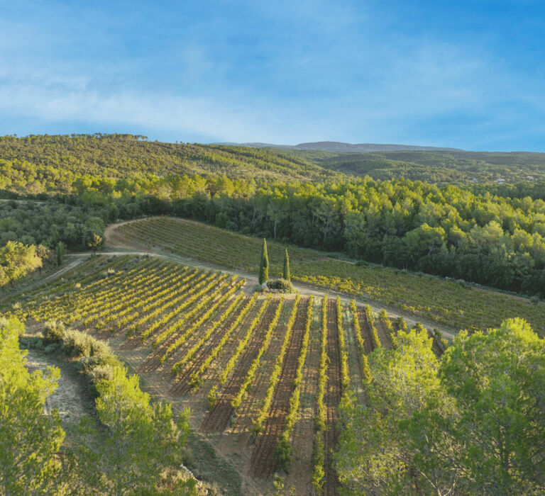 Domaine Le Clos de Caille à Entrecasteaux