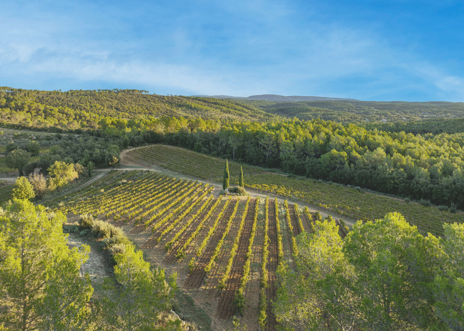 Domaine Le Clos de Caille à Entrecasteaux