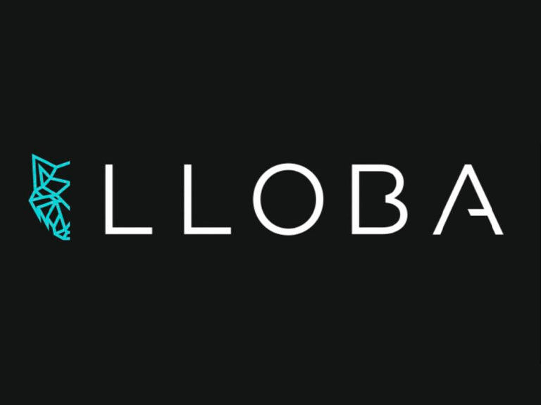 lloba-dj-set