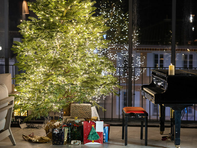 noel-verriere-de-lou-calen