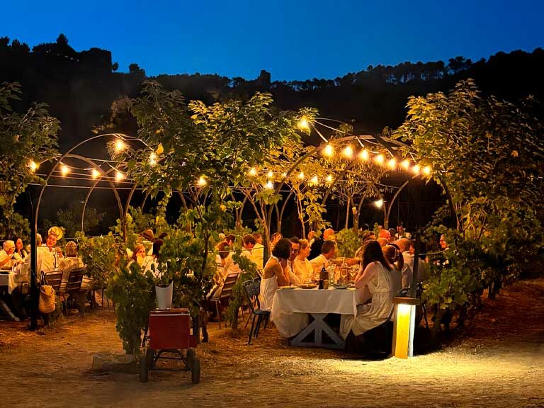 soiree-blanche-dans-les-vignes-lou-calen-cotignac-2025-2