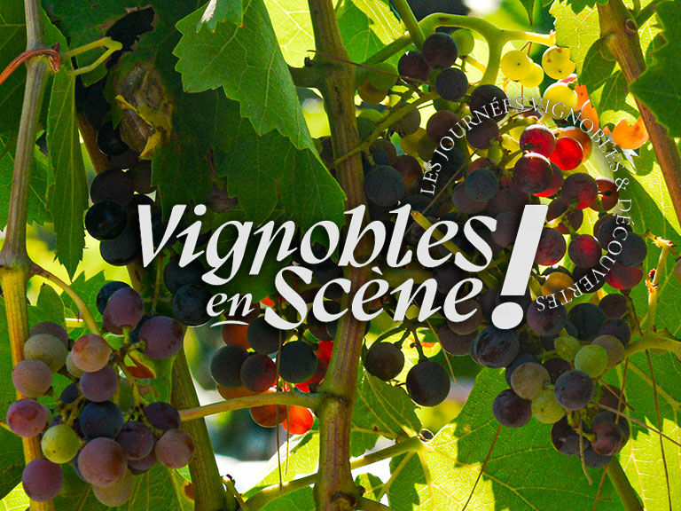 vignobles-en-scene
